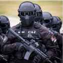 future ethnostate police.jpg
