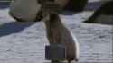 3A835F98-2100-403C-8BFE-68AD08BC813C.gif