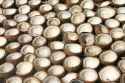 Coconuts_drying_before_being_processed_into_copra,_Polomuhu_village,_Central_Province,_Solomon_Islands_2004._Photo-_Peter_Davis_-_AusAID_(10687170956).jpg