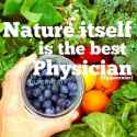 ! 5c5933a6d2eab30920f0a3f219ecdb4b--nutrition-quotes-health-quotes.jpg