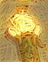 SpagTurd.jpg