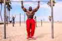 pull ups.jpg