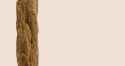 long_log3.png