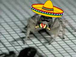 1495696493673.gif