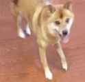 aJxxLw5L_700wa_0.gif