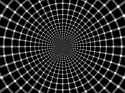 1520235605094.jpg