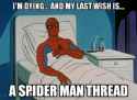 spideyS_13.jpg