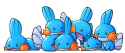 Mudkips.jpg
