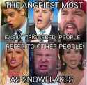snowflakes_1524257464731.jpg