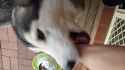 20180502_144126.jpg