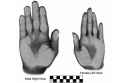 hands (1).jpg