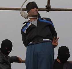 1522903525802.jpg