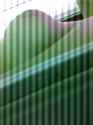 new iphone pics 010.jpg