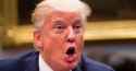 08-donald-trump.w1200.h630.jpg