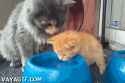 1502034566459.gif