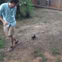 1502034070922.gif