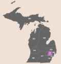 220px-MI_area_code_248_&_947.png