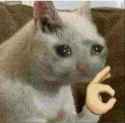 mfw.jpg