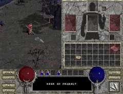 HiddenHiddenDotterel-max-1mb.gif