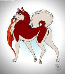 335066 - Mayra_Boyle balto jenna(Photo)(noise)(Level3)(tta).png