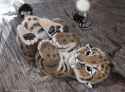 baby_smilodon_and_motherly_spider_by_psithyrus-d71d598.jpg