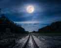 Railroad To Nowhere.jpg