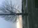 DC2A1E2E-0F09-44A9-8C60-FB4DFD008FDF.jpg