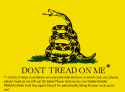 updatedgadsdenflag.png