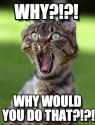 WhyCat.jpg
