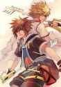 kingdom_heart_2_sora_roxas_by_vic_m.jpg