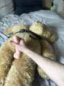 2273473_as1reallyam_unadjustednonraw_thumb_8bc8.jpg