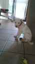 received_266492380515153.jpg