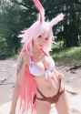 430befc8c814d46bbd50239379a439f2-sample.jpg