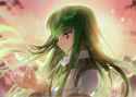 Code_Geass_CC_Sunlight_Left_Side_Empty_Hair_All_Over.png