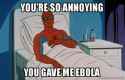 spidey46.jpg