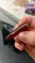 Long Grape.jpg