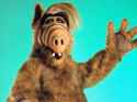 ALF.jpg