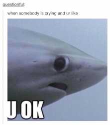 funny-relative-text-text-post-Favim.com-2482482.jpg