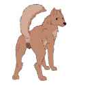 1390100351.wolfforhire_shitty_ferra.png