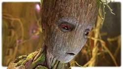 teini-groot.jpg