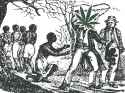 LifeonthePlantation.crop_450x338_0,6.preview2.png