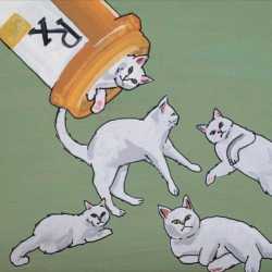 catrx.jpg