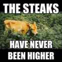 high steaks.jpg