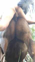 1401577356.jpg