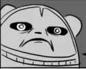 teddy face.jpg