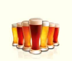 4-goblets-beer-png-image.png