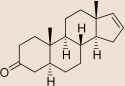 Androstenone.png