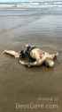 young-brazil-couple-enter-rough-sea-man-resurface-dead-bloat-02-576x1024.jpg