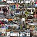 worldwithoutwhites.jpg