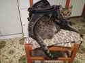 IMG-20171214-WA0002.jpg